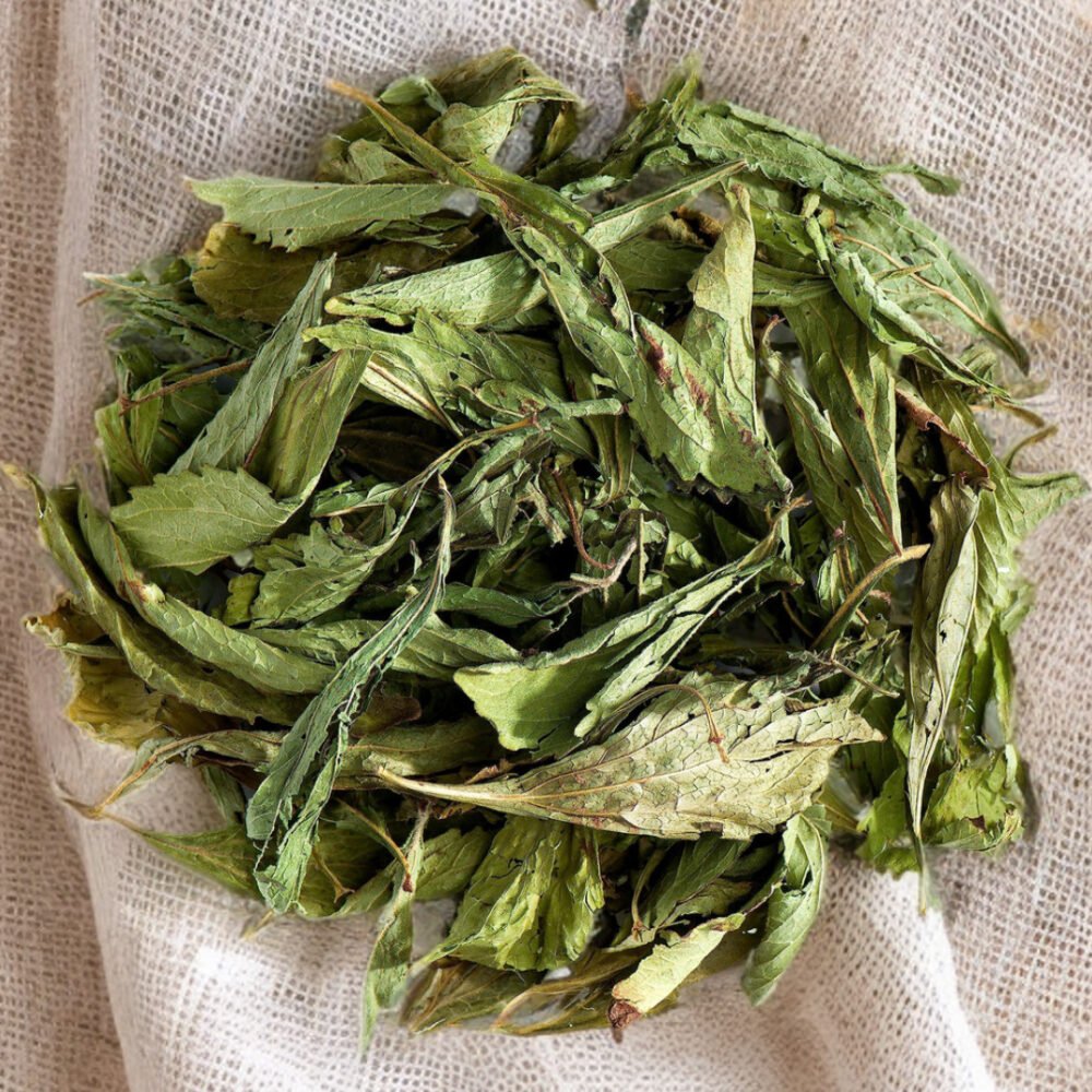 Stevia Dried Leaves